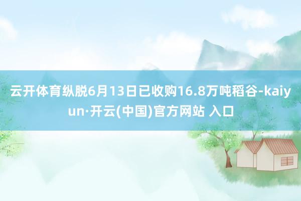 云开体育纵脱6月13日已收购16.8万吨稻谷-kaiyun·开云(中国)官方网站 入口