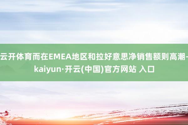 云开体育而在EMEA地区和拉好意思净销售额则高潮-kaiyun·开云(中国)官方网站 入口