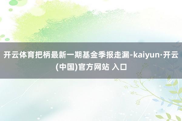 开云体育把柄最新一期基金季报走漏-kaiyun·开云(中国)官方网站 入口