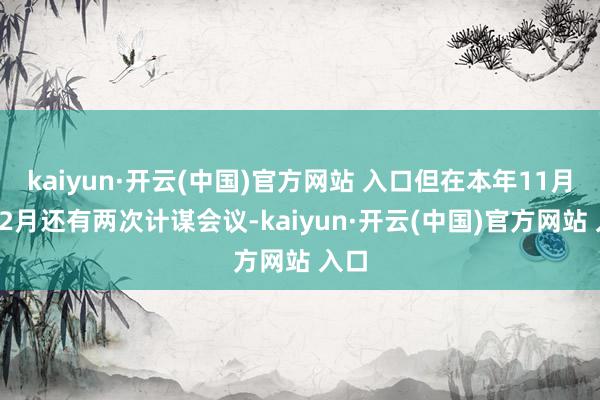 kaiyun·开云(中国)官方网站 入口但在本年11月和12月还有两次计谋会议-kaiyun·开云(中国)官方网站 入口