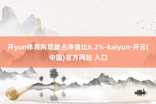 开yun体育网现款占净值比6.2%-kaiyun·开云(中国)官方网站 入口