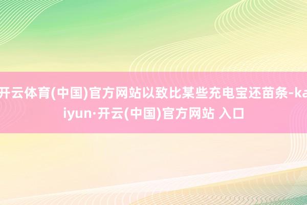 开云体育(中国)官方网站以致比某些充电宝还苗条-kaiyun·开云(中国)官方网站 入口